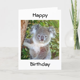 "KOALA BIRTHDAY GREETINGS" KORT