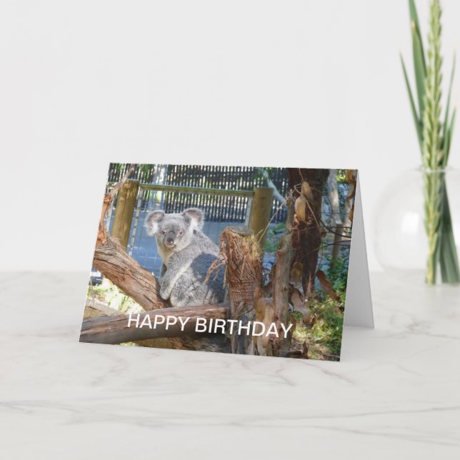 Koala Birthday Kort (Framsida)
