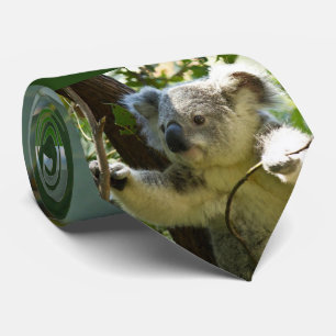 Koala björn -2, slips