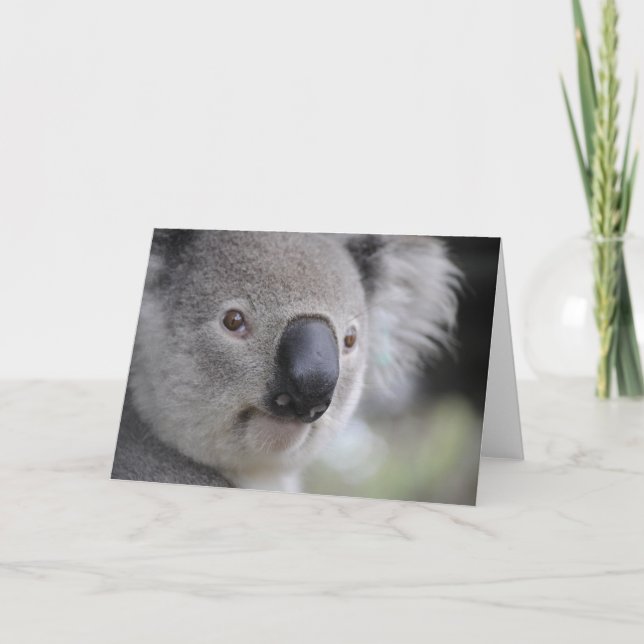 Koala Björn Helgkort (Framsida)