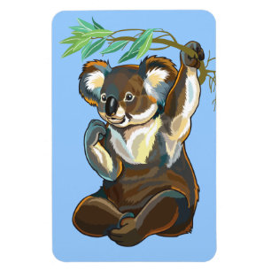 koala björn magnet