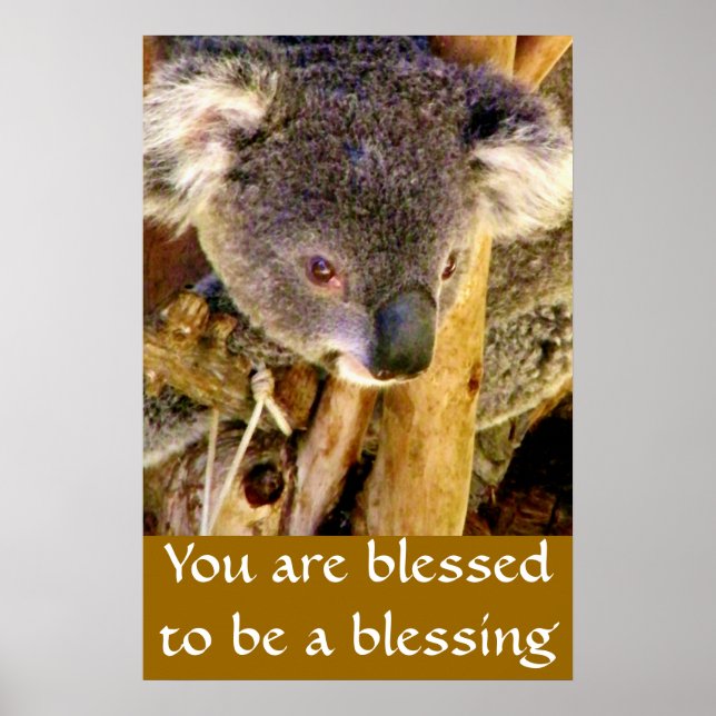 Koala Björn & Meddelande_ Poster (Framsidan)