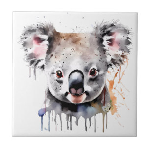 Koala Björn Porträtt Kakelplatta