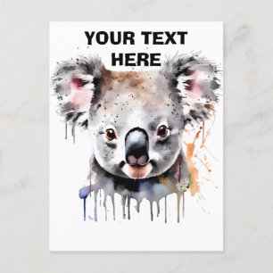 Koala Björn Porträtt Vykort