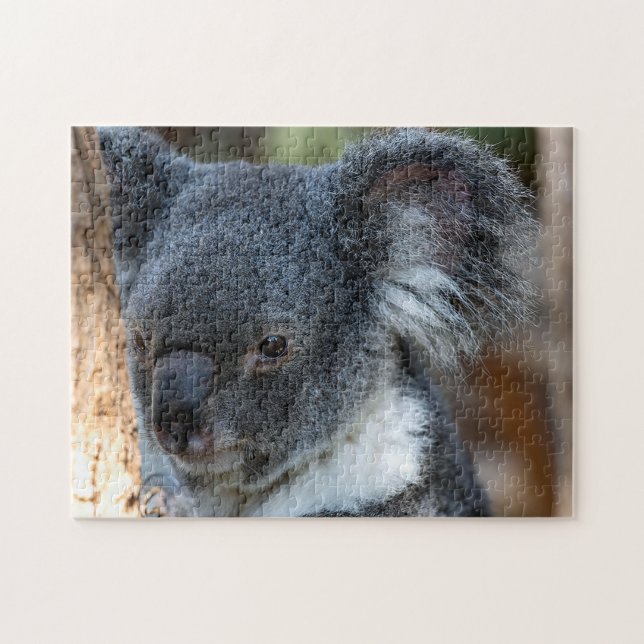 Koala Close Up, Jigszawa Puzzle Pussel (Horisontell)