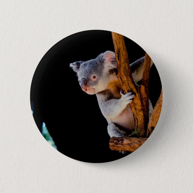 Koala Cute i Träd Grått Knapp (Framsida)