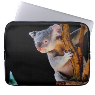 Koala Cute i Träd Grått Laptop Fodral