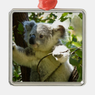 Koala cutie julgransprydnad metall