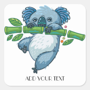 Koala Cuties Fyrkantigt Klistermärke