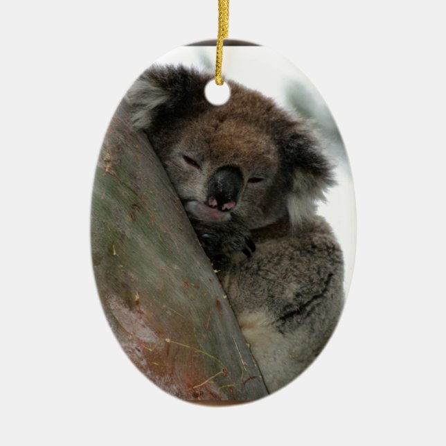 Koala - Extraordinaire energimiljövårdare! Julgransprydnad Keramik (Framsidan)