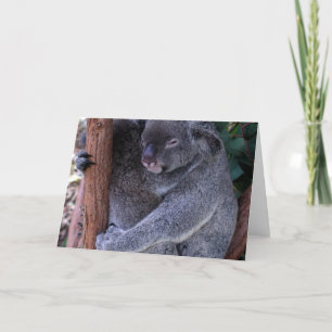Koala Family Greeting Card Kort