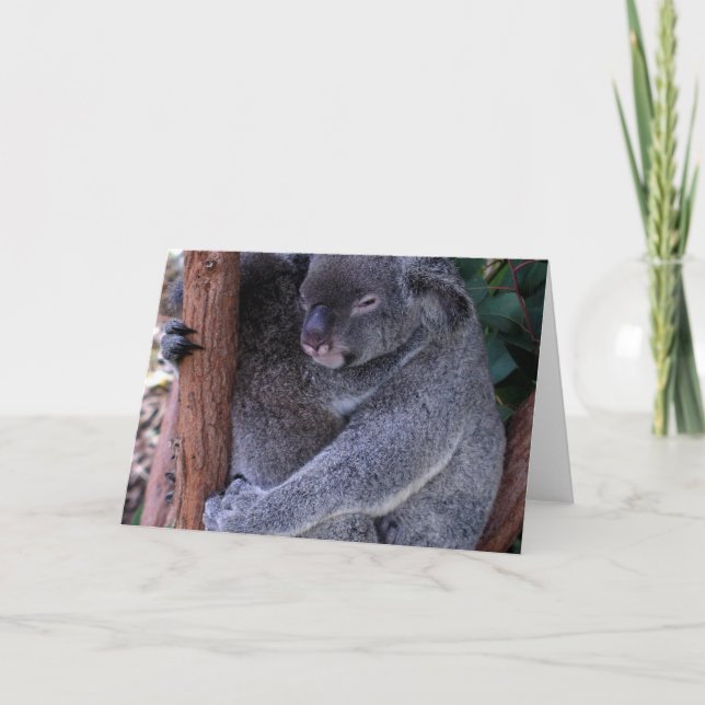 Koala Family Greeting Card Kort (Framsida)
