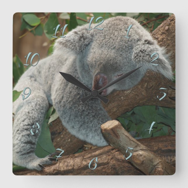 Koala Fyrkantig Klocka (Framsida)