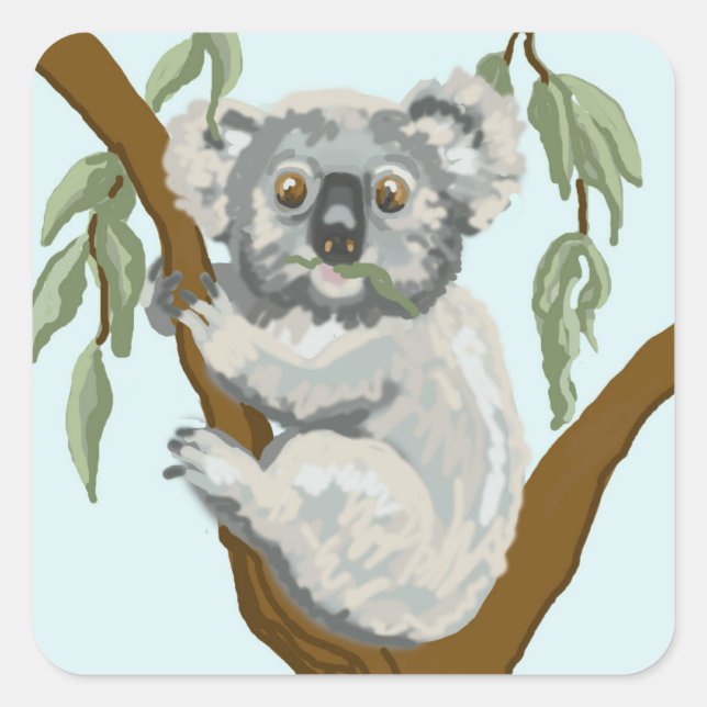 Koala Fyrkantigt Klistermärke (Framsida)
