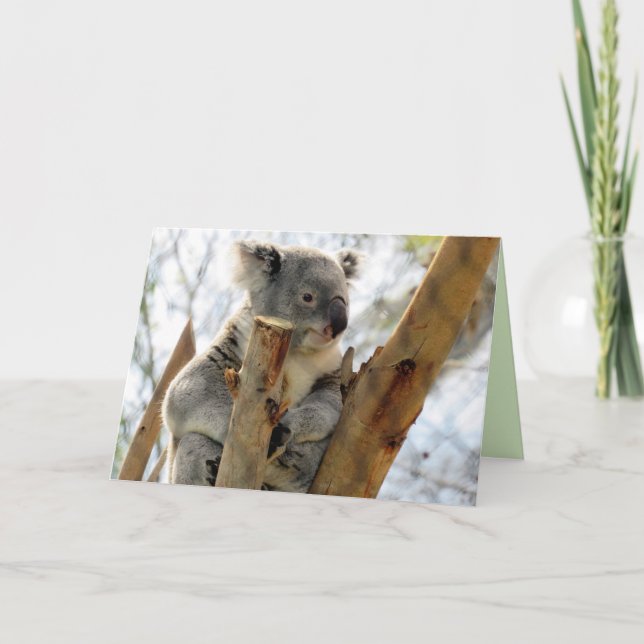 Koala Greeting Card Kort (Framsida)