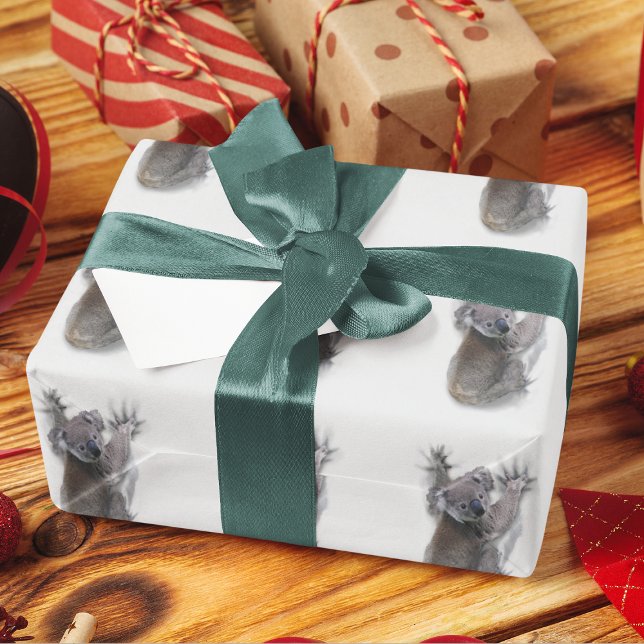 Koala hängde på ryggmärgsburken Australien Animal Presentpapper (Skapare uppladdad)