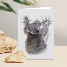 Koala hängde på ryggmärgsburken Australien Animal Tack Kort
