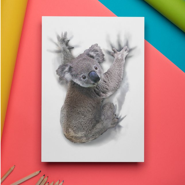 Koala hängde på ryggmärgsburken Australien Animal Vykort (Skapare uppladdad)
