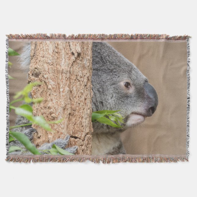 Koala headshot mysfilt (Framsidan)