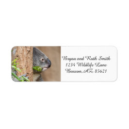 Koala Headshot Returadress Etikett