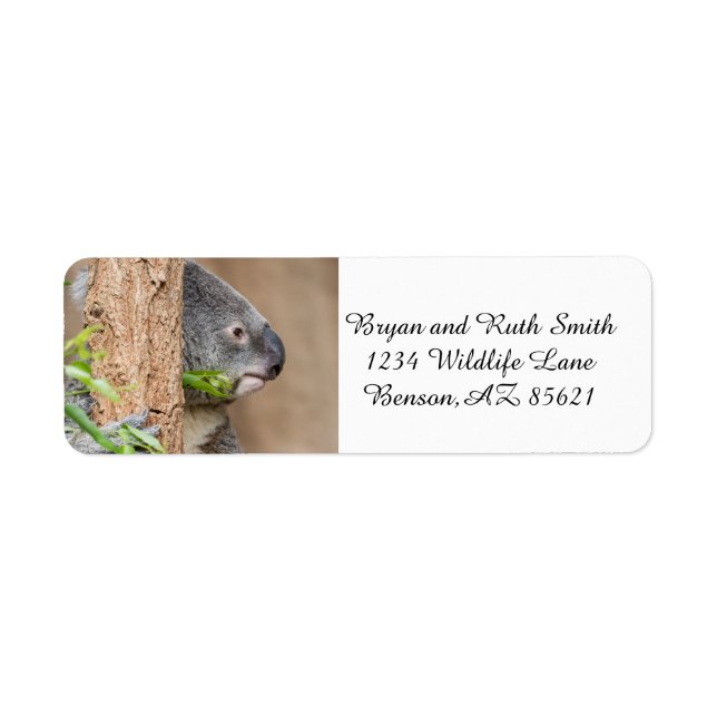 Koala Headshot Returadress Etikett (Framsidan)