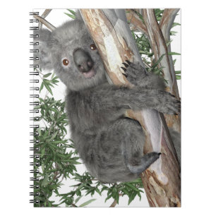 Koala i ett träd anteckningsbok med spiral