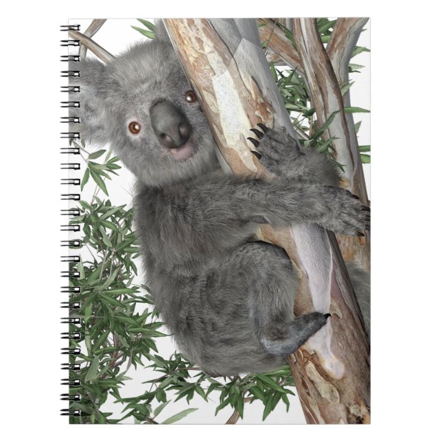 Koala i ett träd anteckningsbok med spiral (Framsidan)