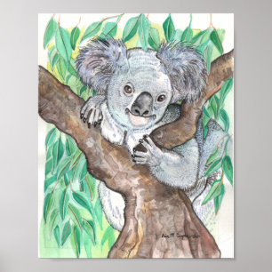 Koala i Eucalyptus Träd Painting Poster
