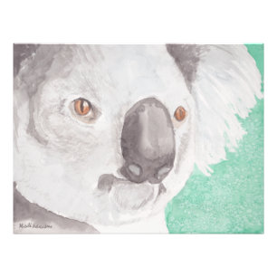 Koala I Fototryck