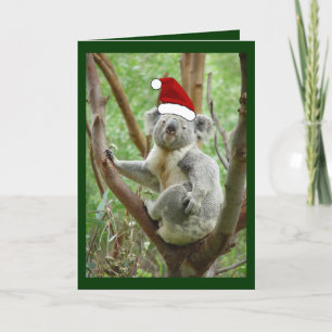 Koala i julkort för Santa hattfoto Helgkort