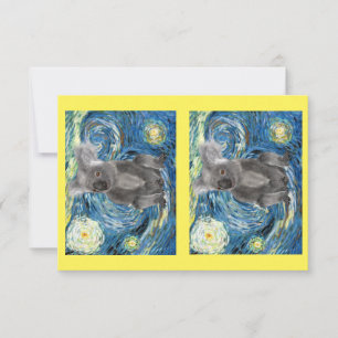 Koala i Starry Natt, utrotningshotade arter