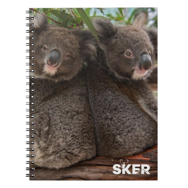Koala Joeys violet och spröd bärbar dator Anteckningsbok (Framsidan)