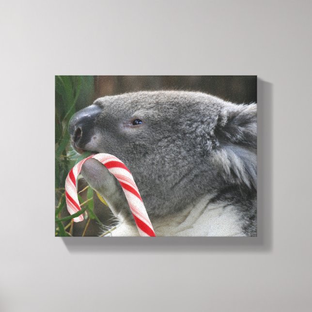 Koala jul Candy cane Canvastryck (Framsida)