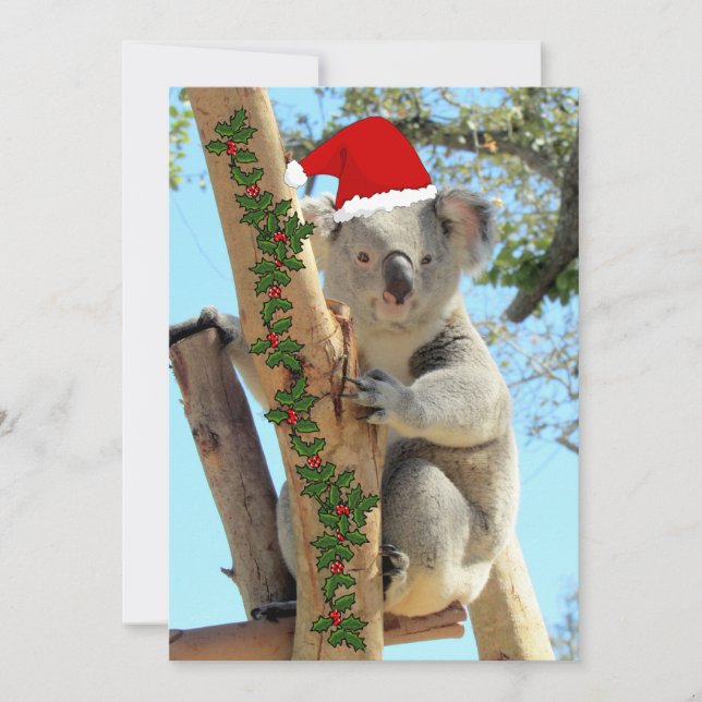 Koala-julklapp - platta kort (Framsida)