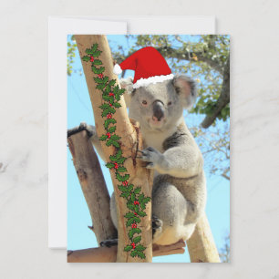 Koala-julklapp - platta kort