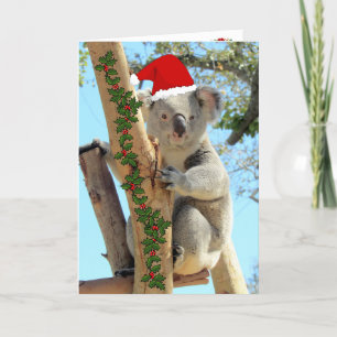 Koala-julkort Kort