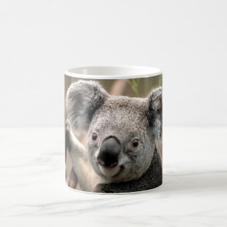 Koala Kaffemugg