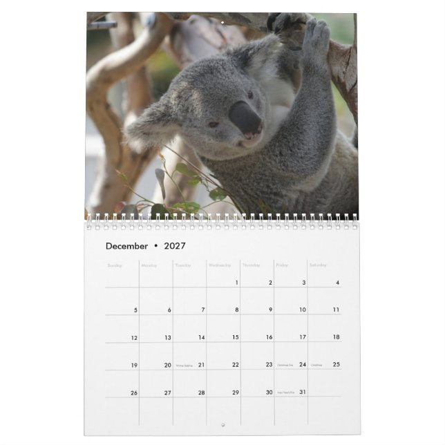 Koala Kalender (Dec 2027)