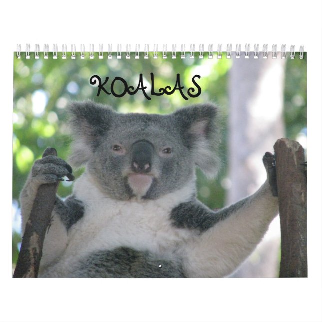 Koala Kalender (Omslag)
