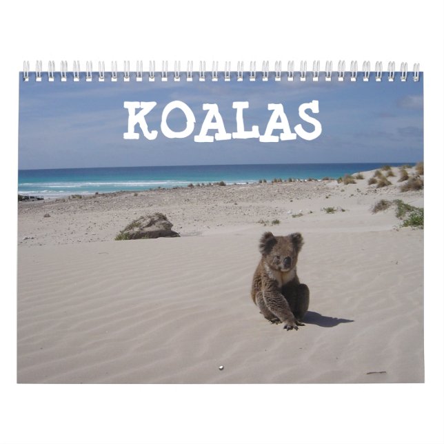 Koala Kalender (Omslag)