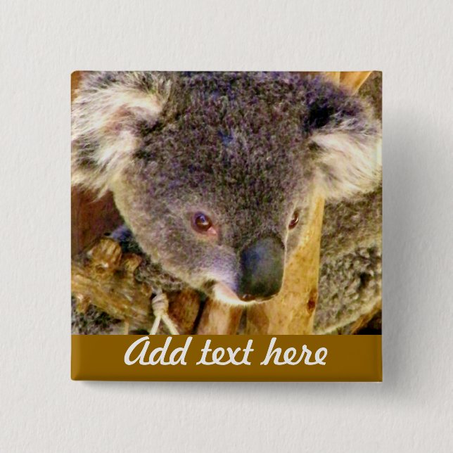 Koala Kärlek_ Knapp (Framsida)