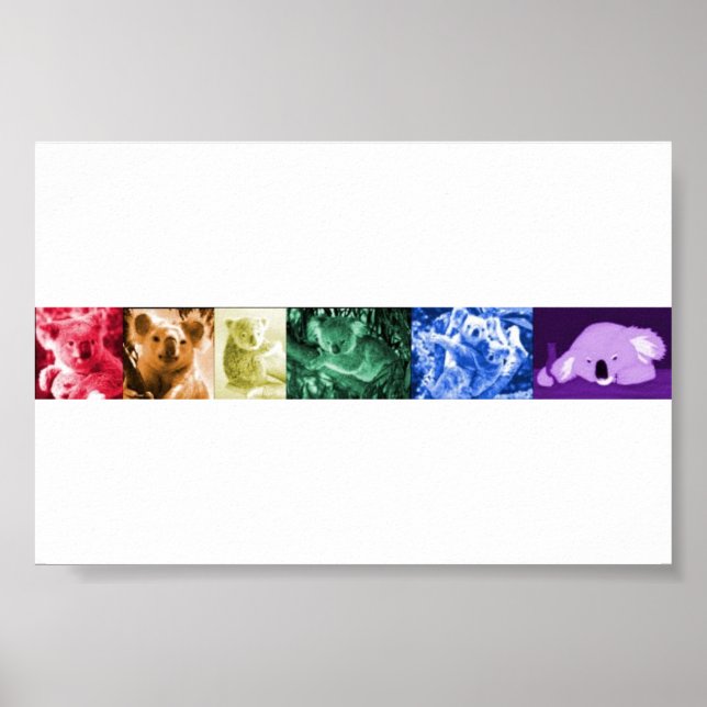 Koala Kärlek Poster (Framsidan)