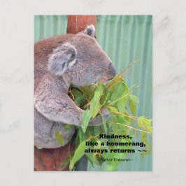 Koala Kindness Postcard Vykort