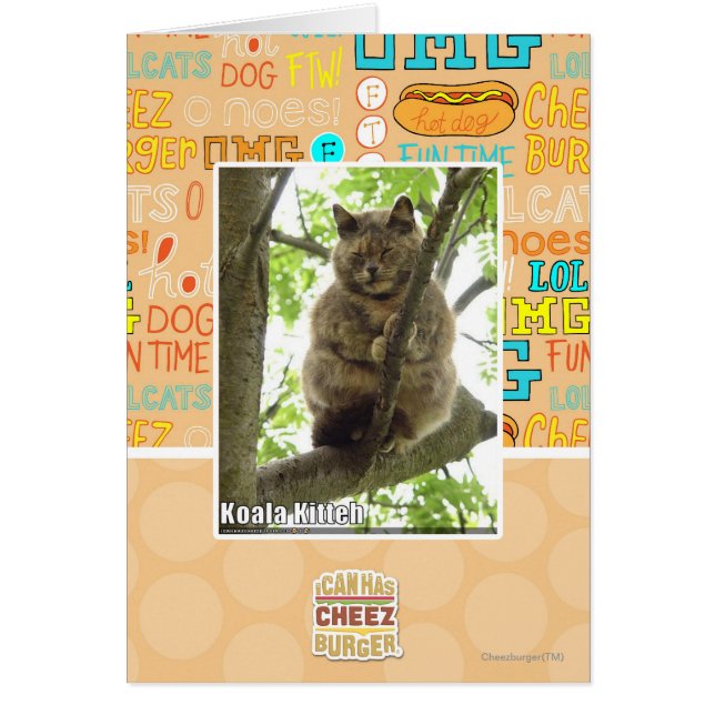 Koala Kitteh Hälsningskort (Framsidan)