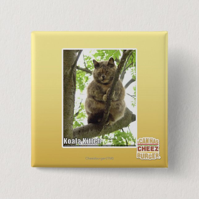 Koala Kitteh Knapp (Framsida)
