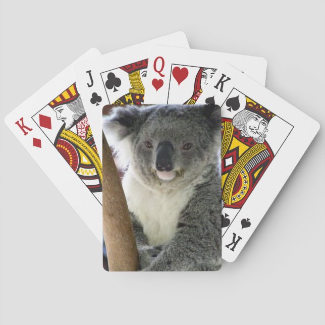 koala-leende casinokort (Baksidan)