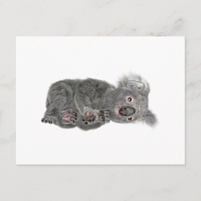 Koala Ljuger ner Vykort (Framsida)