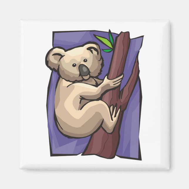 Koala Magnet (Framsidan)