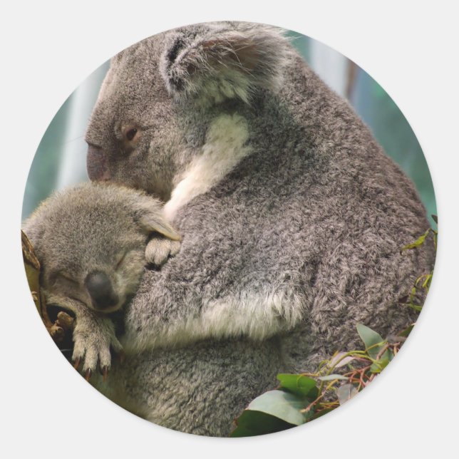 Koala Mamma och Nyfödd bebis Runt Klistermärke (Framsida)