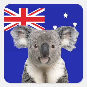 Koala med Australian Flagga Background Fyrkantigt Klistermärke